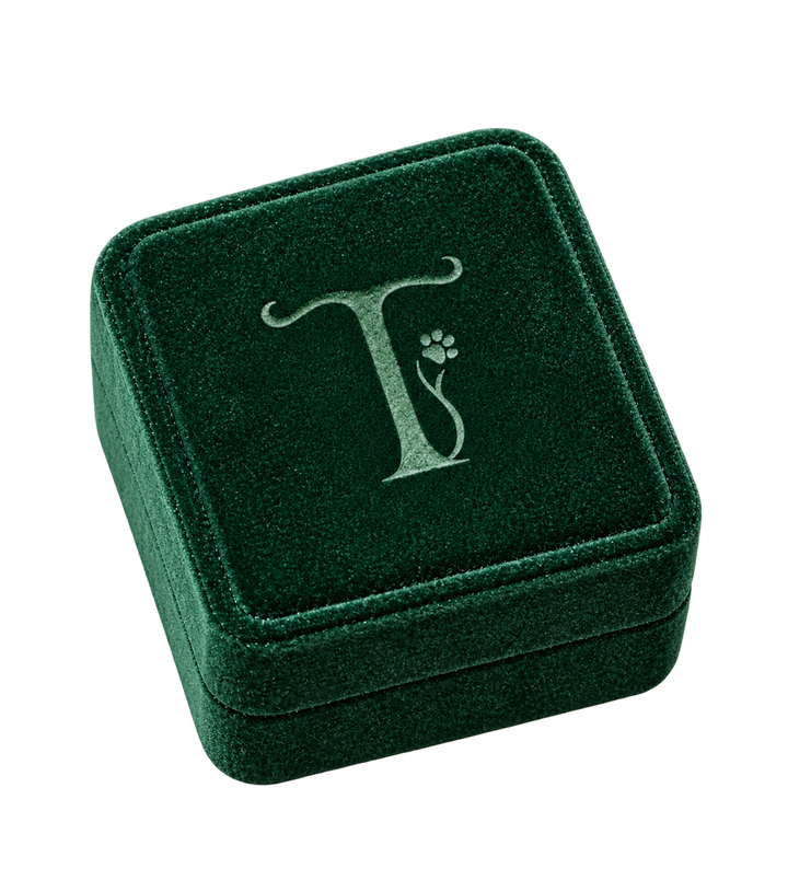 Treuespur Signature Jewelry Box