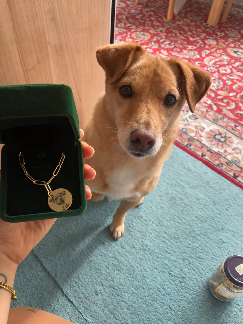Laki beside personalized Treuespur necklace in green gift box